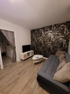 Televízia a/alebo spoločenská miestnosť v ubytovaní Appartement rénové près république