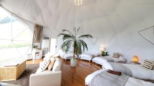 Pokój z 4 łóżkami i palmą w obiekcie GRAND VERDE RESORT w mieście Kamegawa