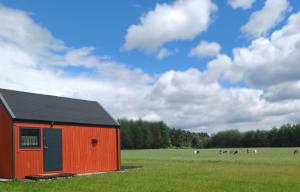 a red barn in a field with cows in the background at Makówka in Stromiec
