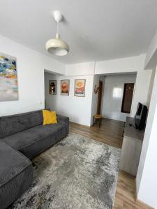 a living room with a couch and a tv at Cozy Apartment - near Airport and Palas Mall in Iaşi