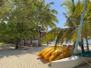 a group of kayaks are lined up on a beach at Malahini Kuda Bandos Resort in North Male Atoll