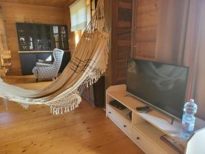 a living room with a hammock and a tv at Willa Wirchnia in Małastów