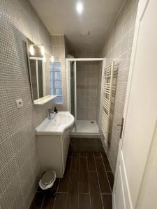 ein Badezimmer mit einem Waschbecken und einer Badewanne in der Unterkunft Agréable maison de ville dans la plus belle Avenue in Orléans