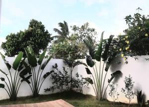 a white fence with plants against a wall at Das Haus Tagaytay in Tagaytay