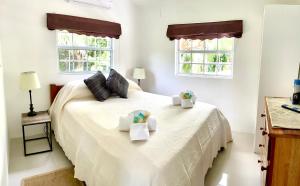 a bedroom with a white bed with two boxes on it at Hummingbirds Cabins in Caye Caulker