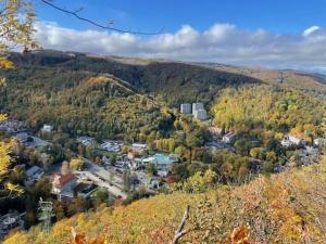 een stad midden op een heuvel met bomen bij Ferienwohnung Memory in Bad Harzburg