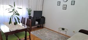TV a/nebo společenská místnost v ubytování Apartment Bina