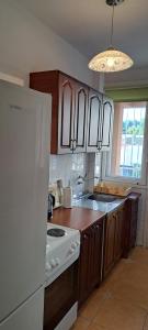 Kuchyň nebo kuchyňský kout v ubytování Apartment Bina
