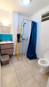 a bathroom with a toilet and a shower and a sink at Studio confort avec jardinet in Montjoly