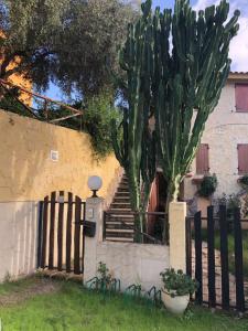 Photo de la galerie de l'établissement Chia Delizioso nido verde nel blu, à Chia