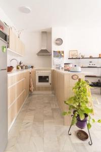 una cocina con una planta en el medio en Huétor Vega precioso apartamento, en Huétor Vega 6 fotos más
