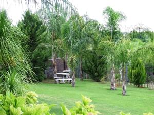 a park with a picnic table and palm trees at RiverVio Bed & Breakfast in Upington