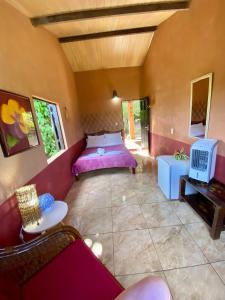 Habitación con cama, sofá y TV. en Pousada Le Monte Cristo en Guaramiranga