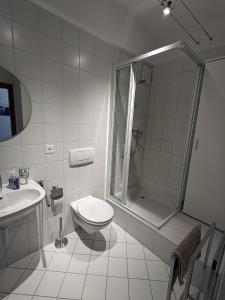 een badkamer met een douche, een toilet en een wastafel bij Alte Brauerei Buchs in Buchs