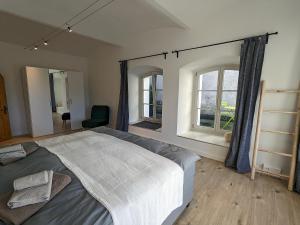 a bedroom with a large bed and two windows at Alte Brauerei Buchs in Buchs