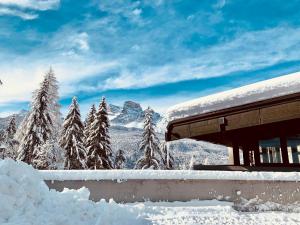 a building covered in snow with trees and mountains at Hotel Boite in Borca di Cadore