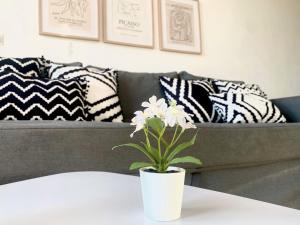 Suite Breeze - Private Heated Pool的休息区