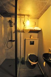 uma casa de banho com um chuveiro, um WC e um lavatório. em Duizend en één nacht em Beernem