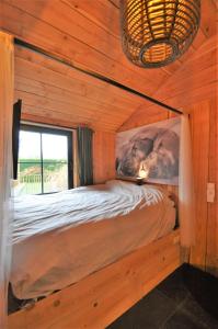 Bett in einer Holzhütte mit Fenster in der Unterkunft Duizend en één nacht in Beernem