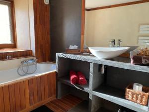 a bathroom with a sink and a bath tub and a sink at Le Cerf de la Lune in Crots +39 photos