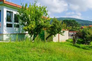 una casa en un campo con árboles en el patio en Casa Frutales Escaselas, en Finisterre