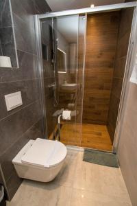 a bathroom with a toilet and a shower at Apartment IG4U, City center in Bjelovar