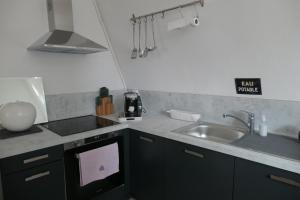 - une cuisine avec un évier et un comptoir dans l'établissement Appartement - Villa Léopold à Malo, à Dunkerque