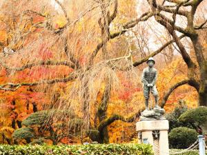Zahrada ubytování Hotel Square FujiGotemba