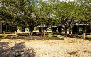 a group of trees in front of a building at The Container Retreat @ 290 Wine Trail #1 Escape to Hye, TX in Hye