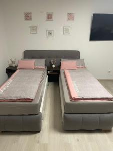 duas camas sentadas uma ao lado da outra num quarto em Lilis Apartment mit Balkon em Augsburg
