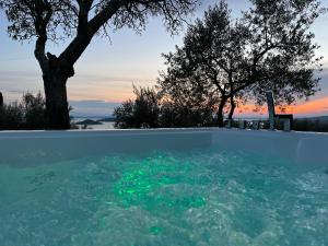 una vasca piena di acqua con alberi sullo sfondo di Antico Casale Tiravento a Passignano sul Trasimeno