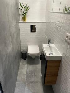 La salle de bains est pourvue de toilettes blanches et d'un lavabo. dans l'établissement Brzostek Apartment, à Varsovie