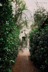 a garden path with green plants on the side of a building at Casale Hortensia in Reggio Emilia