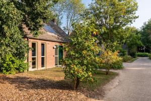 Κήπος έξω από το Coco Wellness Bungalow