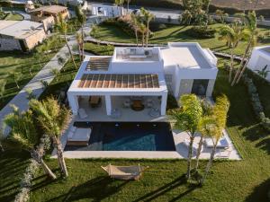 an aerial view of a house with a swimming pool and palm trees at TAF Beach Villas with Tesla in Tigaki