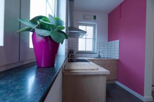 Kuchyň nebo kuchyňský kout v ubytování Vakantiewoningen Pomona