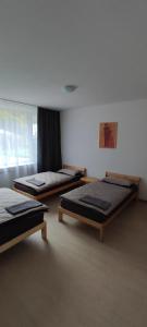 3 posti letto in una stanza con finestra di Apartments zum stillen Winkel a Niederbreitbach