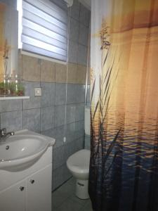 a bathroom with a sink and a toilet and a shower curtain at Planinska kuća za odmor Perić in Prozor +30 photos