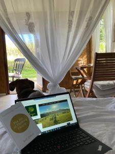 Televiisor ja/või meelelahutuskeskus majutusasutuses Boutique Glamping Divja DiVine