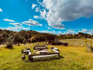 a field with a bench in the middle of a field at Boutique Glamping Divja DiVine in Zgornja Korena