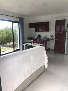 Kuchnia lub aneks kuchenny w obiekcie Charment logement avec parking et jardin privatif