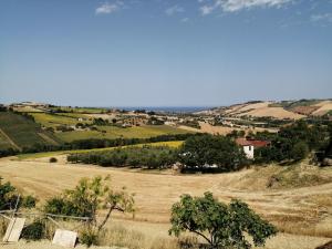 Blick auf ein Feld mit Bäumen und einen Bauernhof in der Unterkunft La Sperella Bed and Breakfast in Fermo