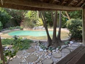 a swimming pool with a tree in the middle at Paradise in Kommetjie in Cape Town
