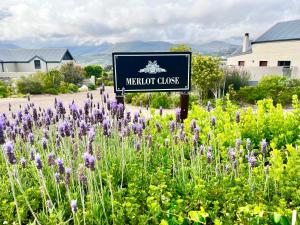 un segno nel mezzo di un campo di fiori viola di No2 Merlot a Città del Capo