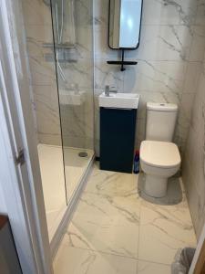 a bathroom with a shower and a toilet and a sink at Jolly Sailors Retreat in Wells next the Sea