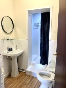 a bathroom with a toilet and a sink and a shower at Seaview Richmond Terrace in Swansea
