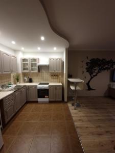 Kuchnia lub aneks kuchenny w obiekcie 91WrocLove Apartaments