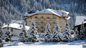 Dolasilla Park Hotel v zimě