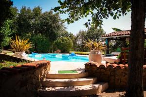 a swimming pool with a stone wall and stairs next to a tree at Villa MAS GUAPA dans le TARN Albigeois in Lescure-dʼAlbigeois