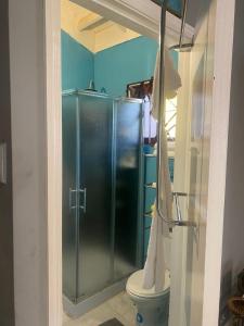 a bathroom with a shower stall and a toilet at Cozy 1-bedroom in a secure area with private beach in Mammee Bay